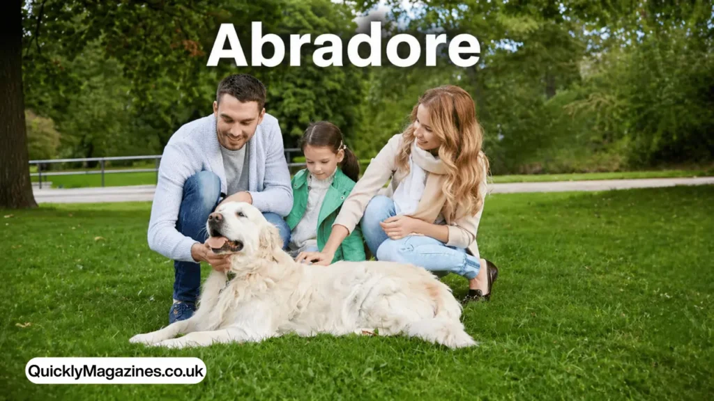abradore