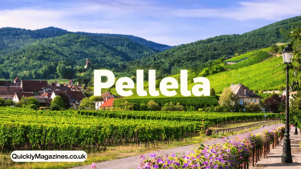 pellela