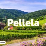 pellela