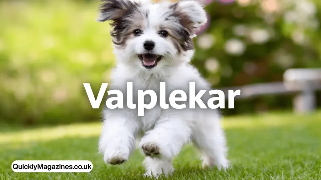 valplekar